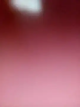 tinkerlu webcam