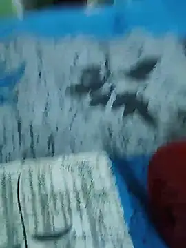 Goodmens5 webcam
