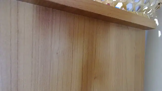 Pamela-StripX webcam