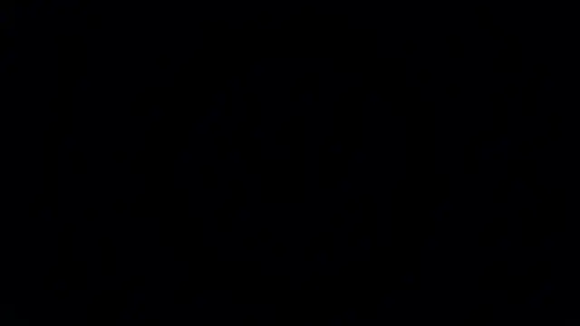 Perlaa_moon_ webcam