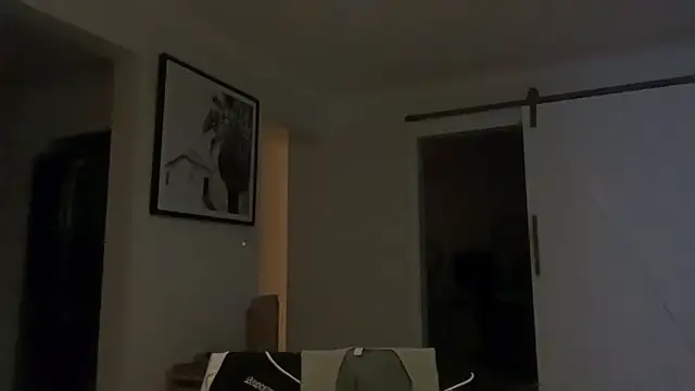 MaximumINC webcam