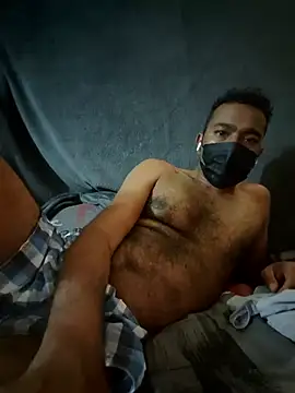 Colt291 live cam on StripChat