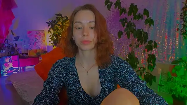 poli__ webcam
