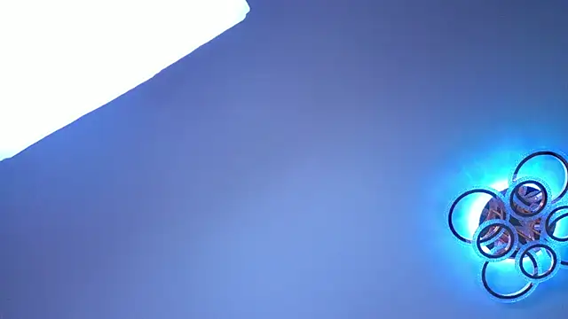 PerryKitty webcam