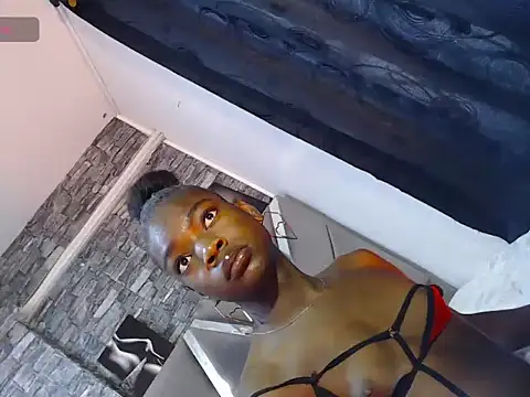 black_tsx webcam