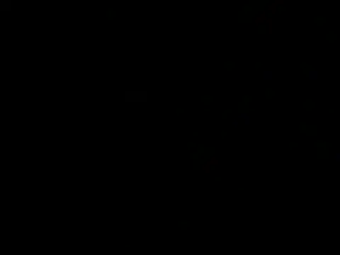 aran6676 webcam