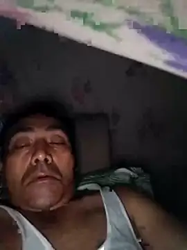 Pitercom webcam