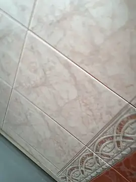 La-Gatiita-trans webcam