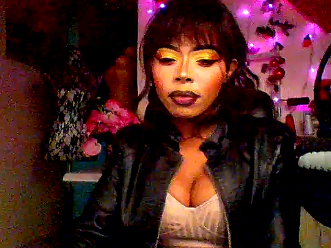 Anaconda2350 webcam
