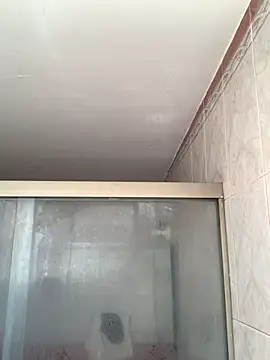 La-Gatiita-trans webcam