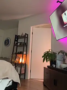 alldogsgotoheaven webcam