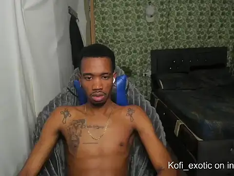 Kofi_exotic_2 webcam