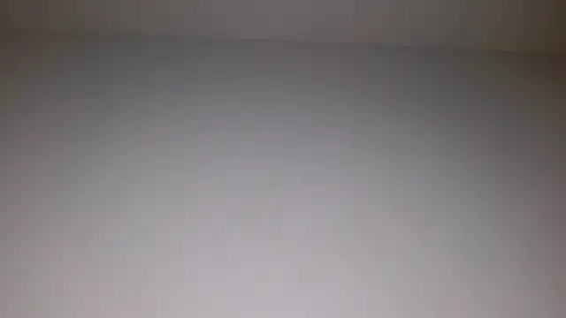 Zack_Evans