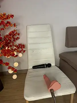 VictoriaHiill webcam