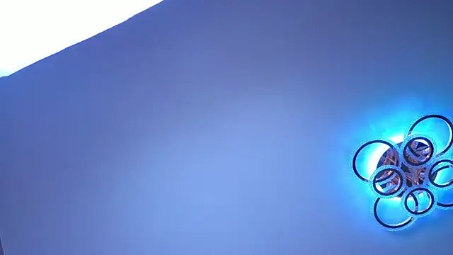 PerryKitty webcam