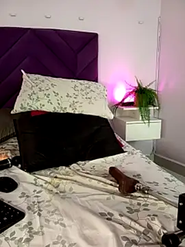 haileystone webcam