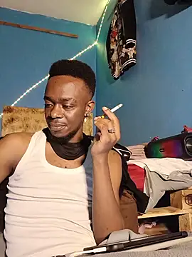 69_SINNS webcam
