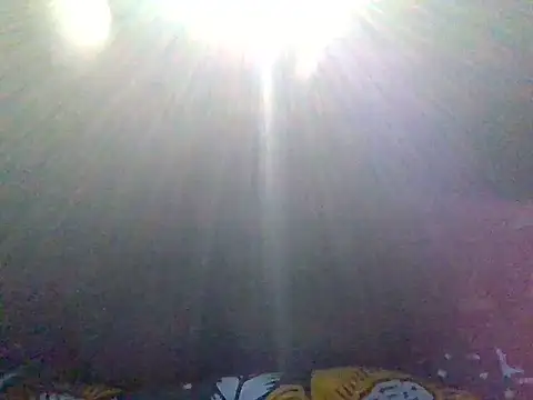 African_ass20 webcam
