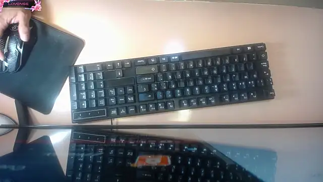 Brittany_ch webcam