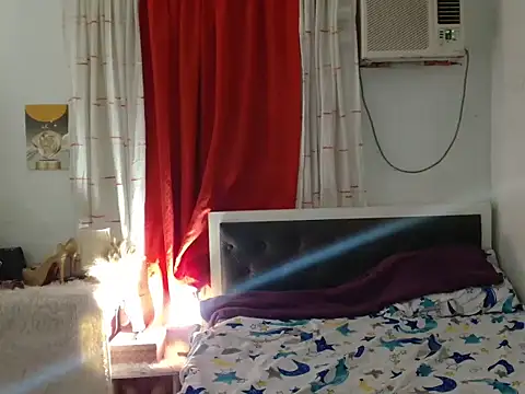 Sileves webcam