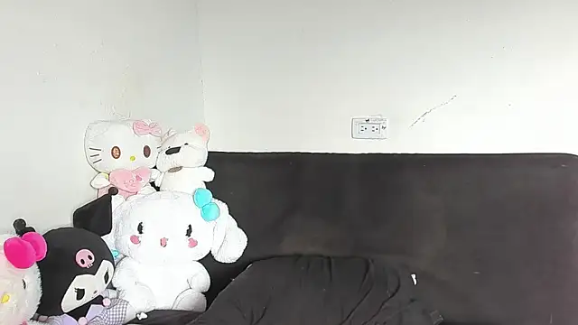 Eirlysx webcam