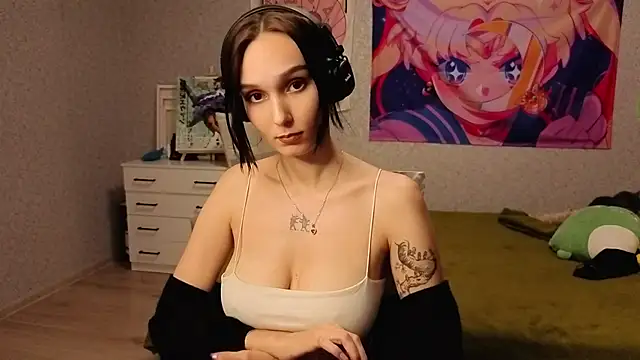 Aurisinst webcam