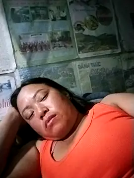 Min-in webcam