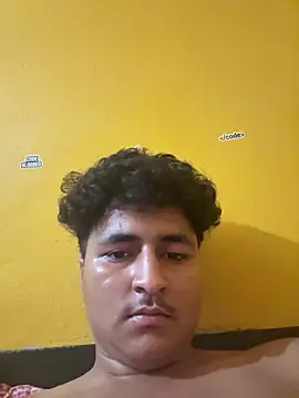 cannonWithMuscles webcam