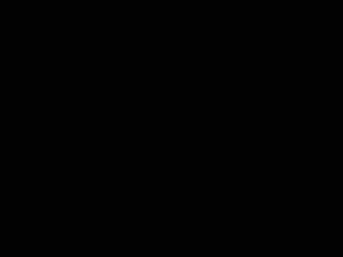 jelkem webcam