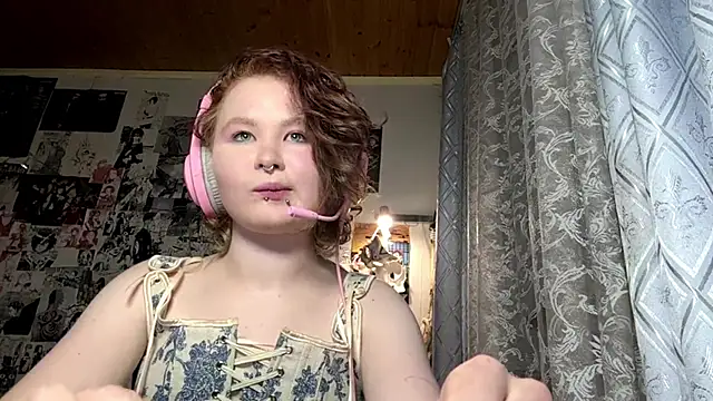 LiIIAry webcam