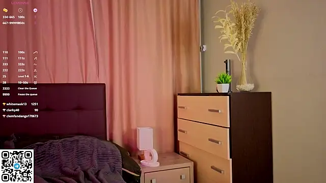 NerixalVire webcam