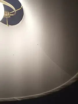 sexboybwc_assfucker webcam