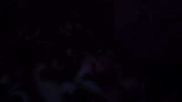 bialoba7 webcam