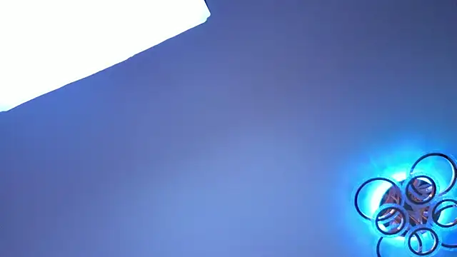 PerryKitty