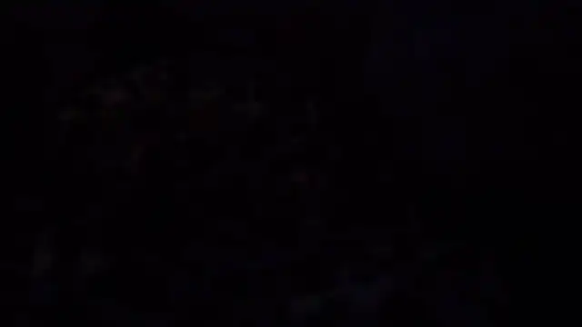 bialoba7 webcam