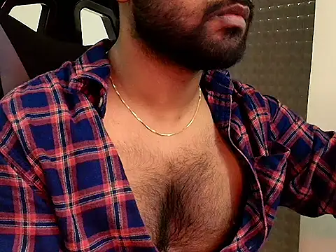 SilverShade3 webcam