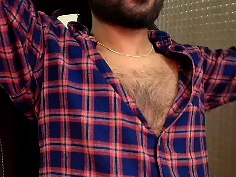 SilverShade3 webcam