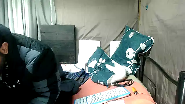 Camodick webcam