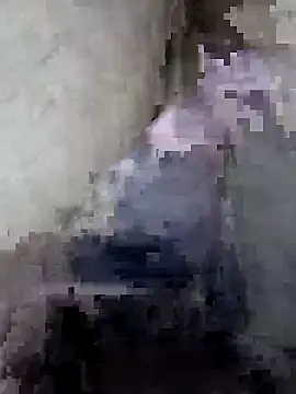 Junglii_Billi webcam