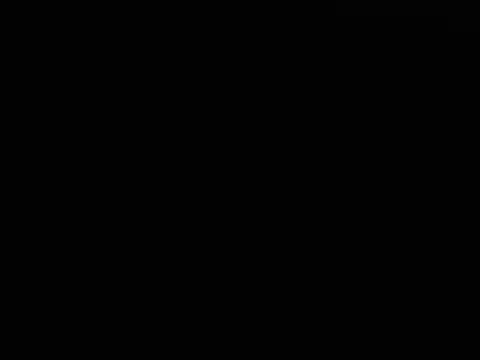 jelkem webcam