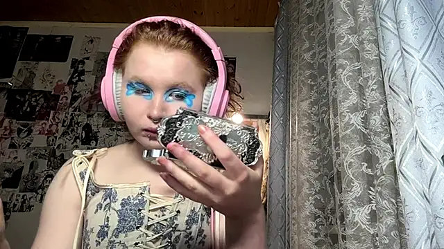 LiIIAry webcam
