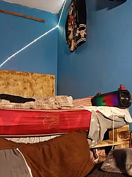 69_SINNS webcam