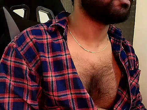 SilverShade3 webcam