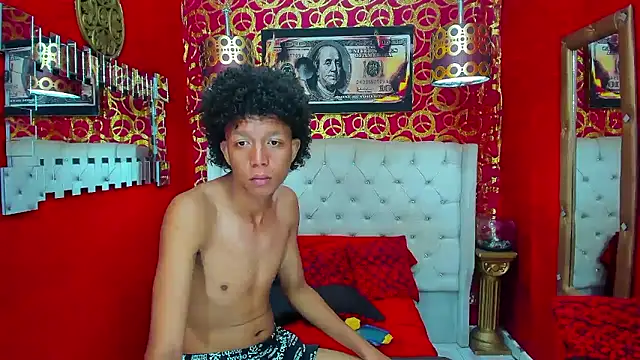PEINBOYS webcam