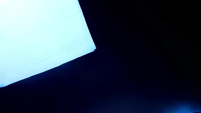 PerryKitty webcam