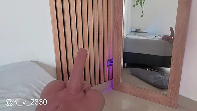 sofiesoft webcam