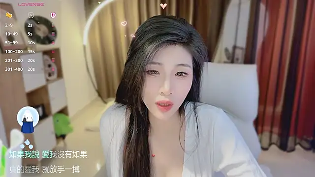 Vaidurya-Yolo webcam
