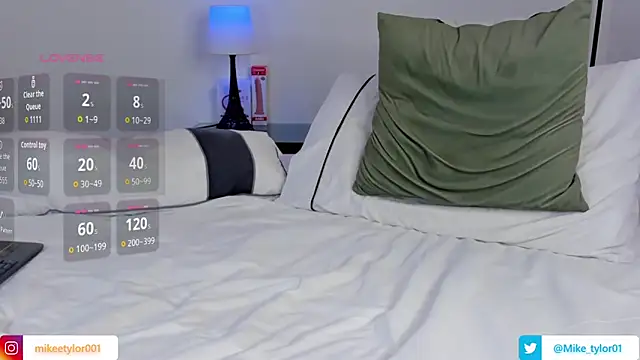mike_tylor01 webcam