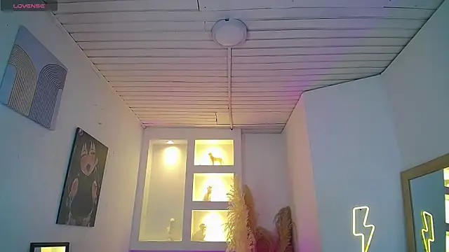 Haddes_as webcam