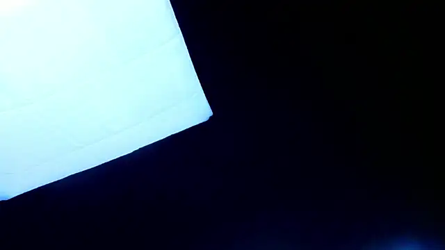 PerryKitty webcam